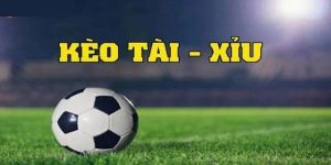 Tổng quan kèo tài xỉu