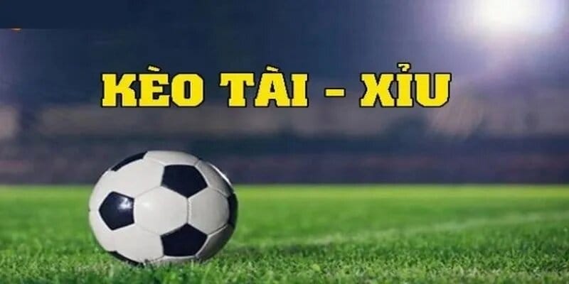 Tổng quan kèo tài xỉu